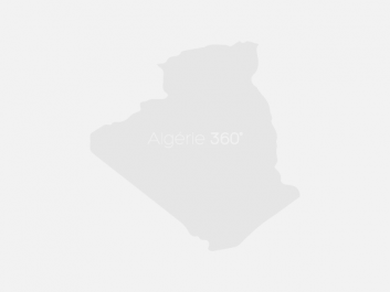L’amour à l’algérienne: ou quand le « Mimzy » rencontre « l’Alien »