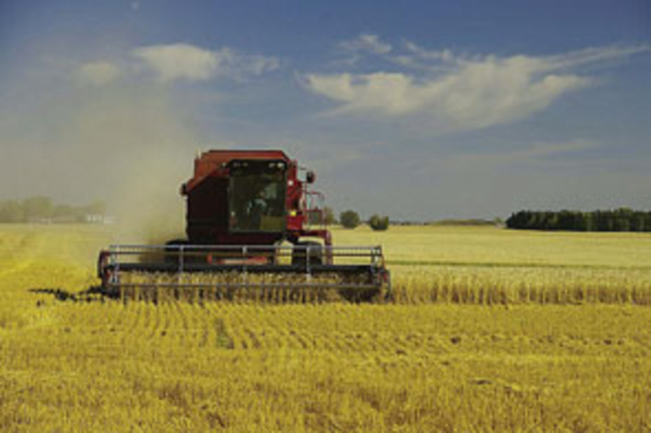 Sidi-Bel-Abbès: Un centre de formation des techniciens de l’agriculture en 2018