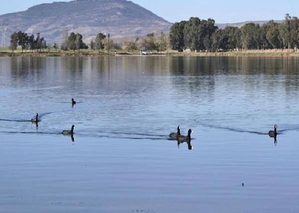 Sidi-Bel-Abbès: Une EPIC pour la gestion urbaine de toute la wilaya