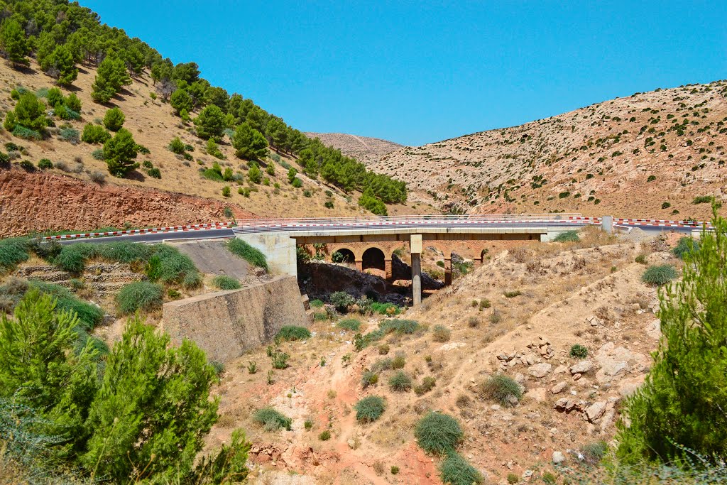 Tliouanet craint l’isolement