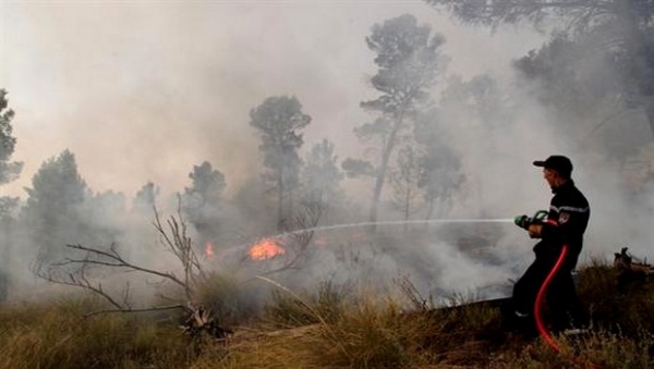 L’enneigement, les feux de forêts et les accidents de la route, des risques récurrents à Tizi-Ouzou