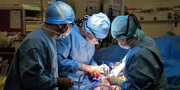 L’institut national du rein et de la greffe d’organes bientot opérationnel