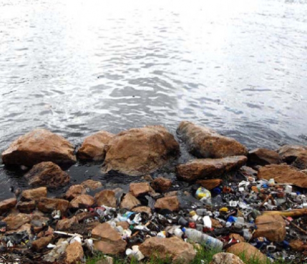 Environnement Wilayas côtières, de vraies poubelles !