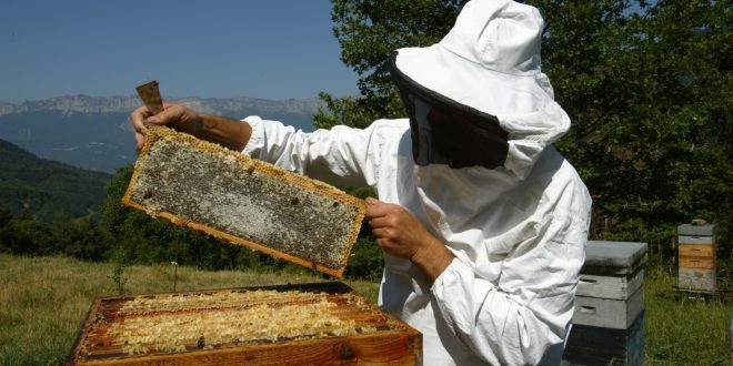 Formation en apiculture: Sortie de promotion en avril de 100 stagiaires