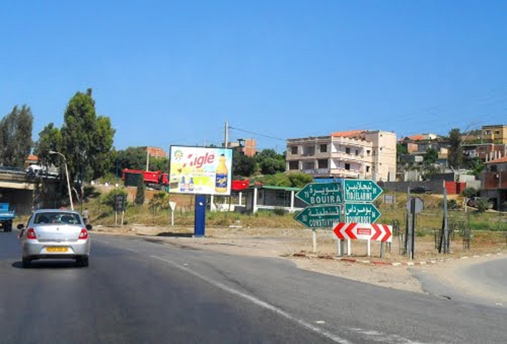 Ils devaient marcher sur Alger: La marche des Patriotes bloquée à Tidjelabine