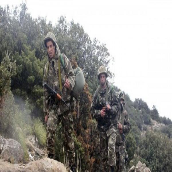 Deux terroristes abattus et deux autres arrêtés à Boumerdès