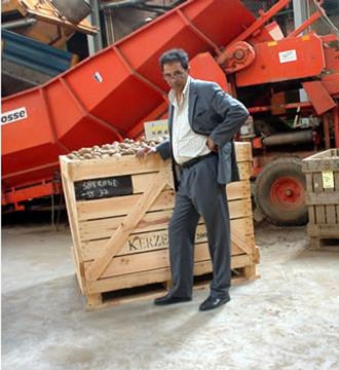 Bachir Seraoui, président du comité interprofessionnel de la filière pomme de terre, à l’Expression: « Les prix resteront soutenus cette année »