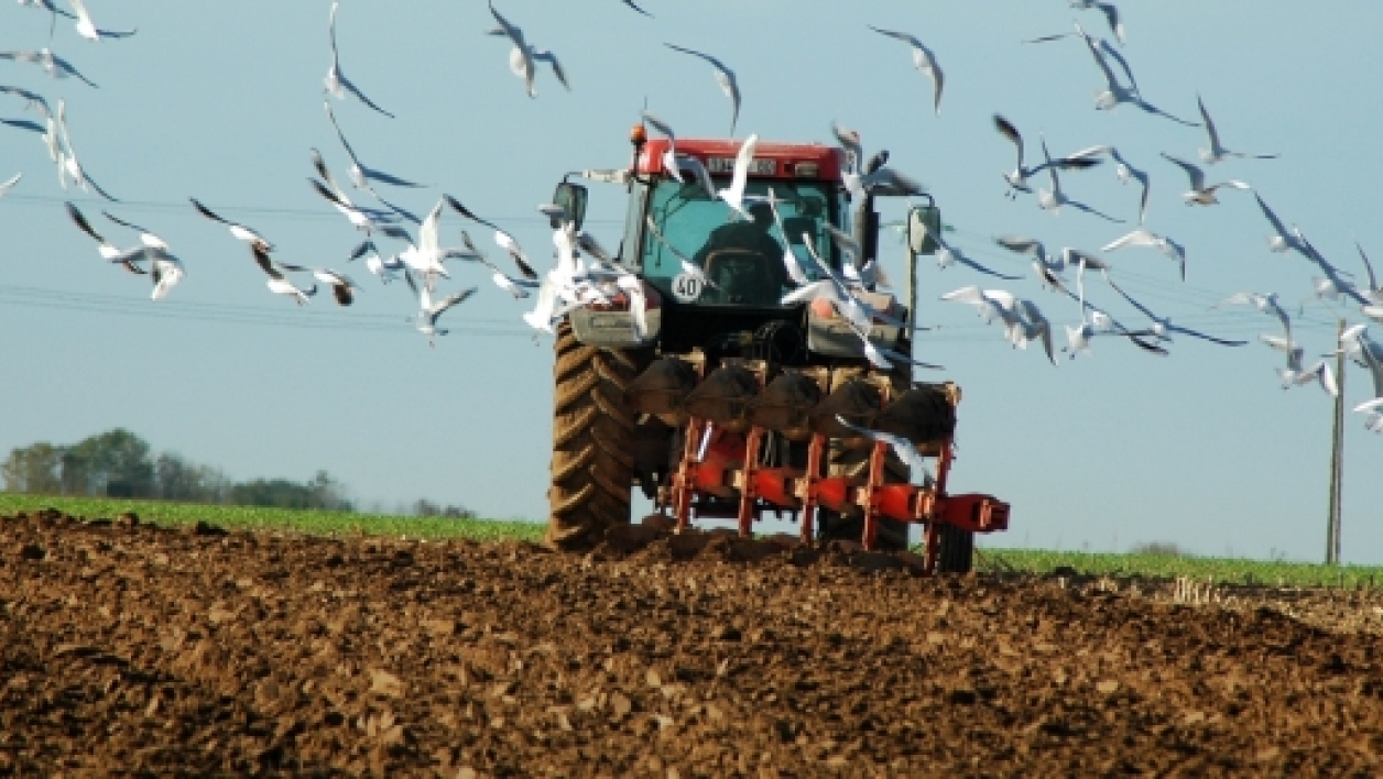 Formation à Tipasa: Rush sur les métiers du bâtiment et de l’agriculture