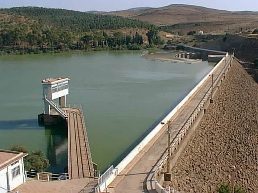 Adhésion massive à une campagne de plantation au barrage Bakhadda : Ce geste qui incarne citoyenneté et civisme