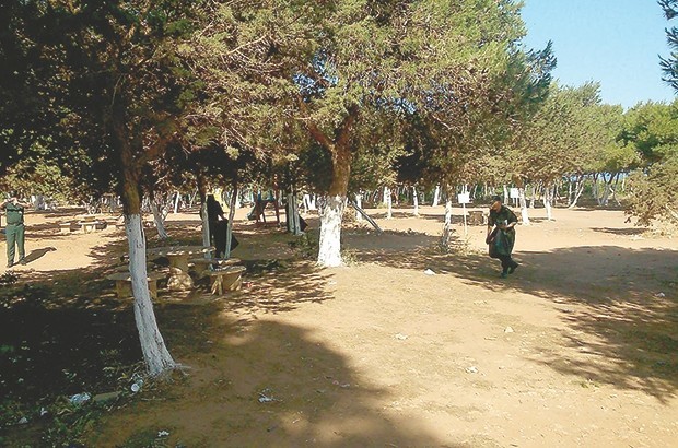 Sidi-Bel-Abbès: Les forêts plus sûres après l’élimination de 424 sangliers