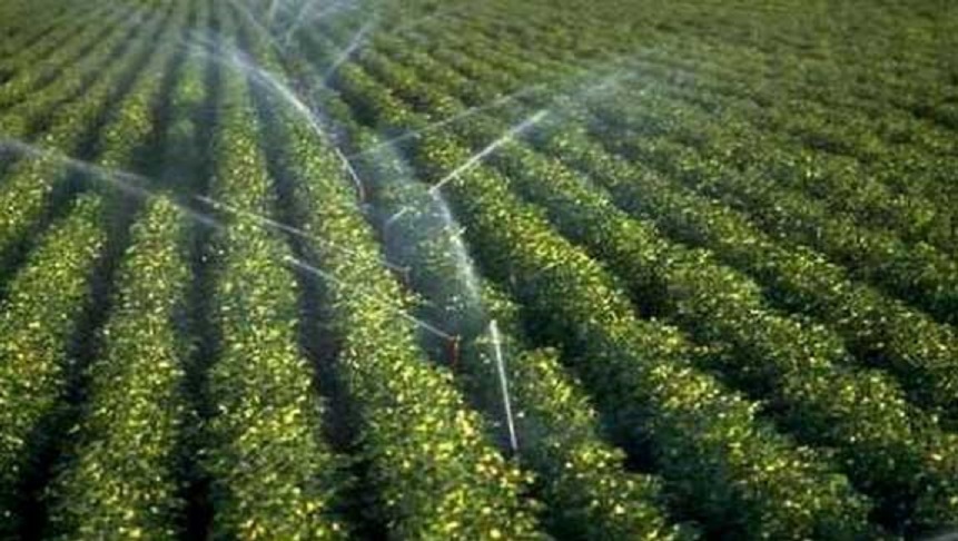 M’sila: Plus de 300 hectares supplémentaires irrigués au «goutte à goutte»