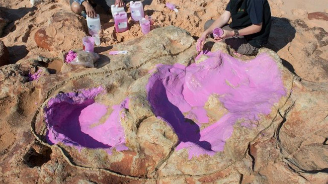 Découverte inédite dans le « JURASSIC PARK » australien