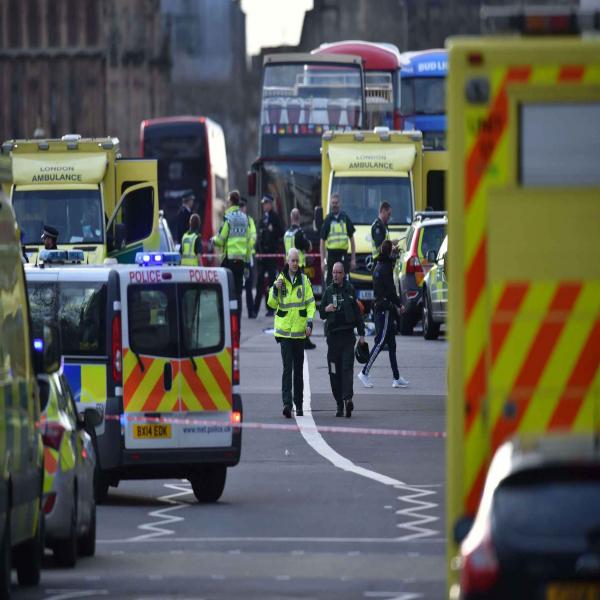 L’Algérie condamne « avec force » l’attentat contre le Parlement britannique