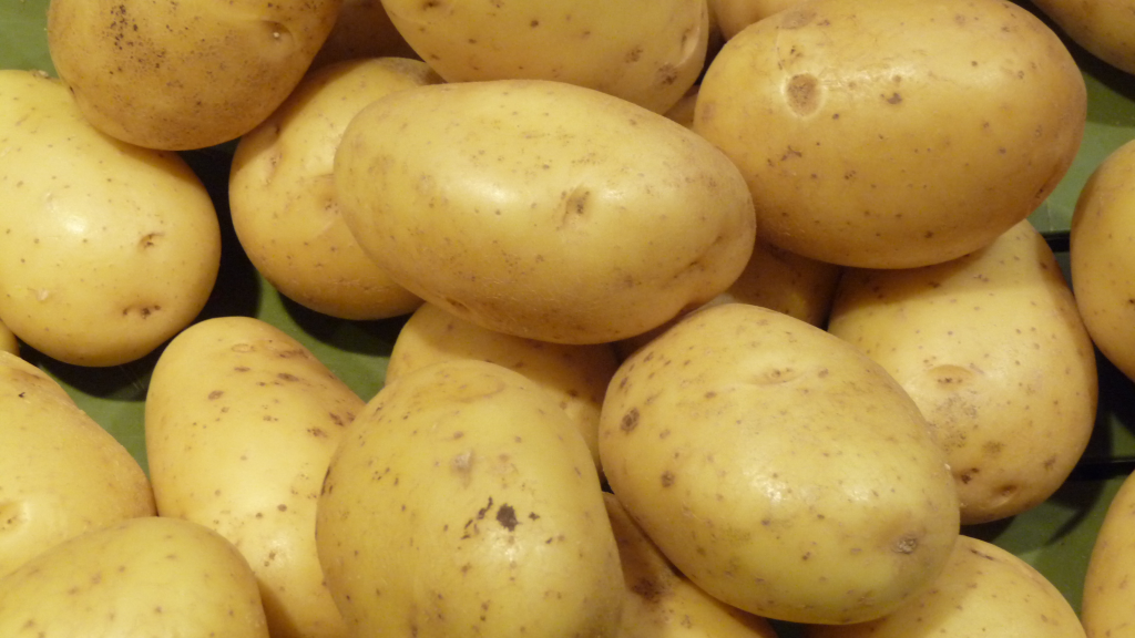 Marché de la Pomme de Terre À Aïn Defla: L’absence d’un vrai dispositif de régulation laisse grande ouverte la porte à la spéculation