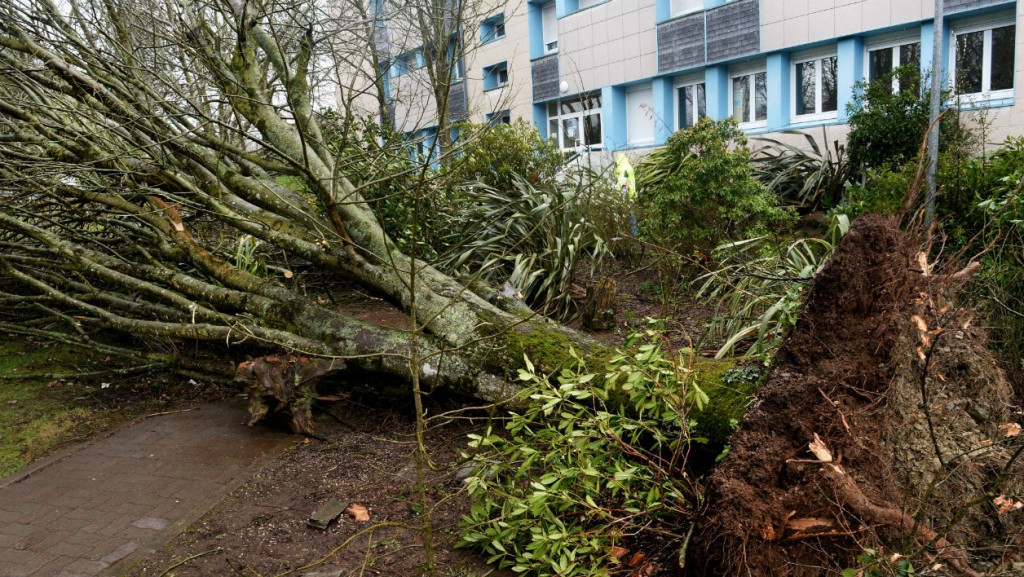 Le taux des assurés ne dépasse pas les 5%: Peu d’engouement des Oranais pour l’assurance contre les catastrophes naturelles