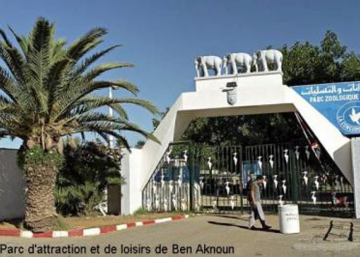 Parc d&rsquo;attraction de Ben Aknoun : un bus immatriculé à Médéa prend feu