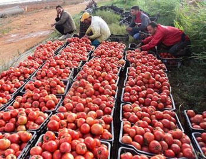 Prix des fruits et légumes : La vérité nous vient du Sud