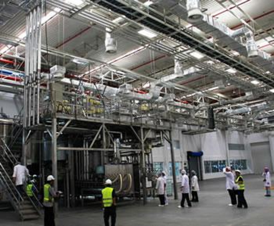 Législatives: Les programmes économiques passés au crible: Le « scan » des spécialistes