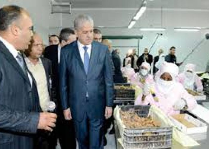 Sellal appelle à la levée des verrous bureaucatiques sur le foncier agricole