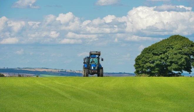 L’Algérie offre 20.000 Ha de terres agricoles à l&rsquo;autorité arabe  pour l&rsquo;investissement