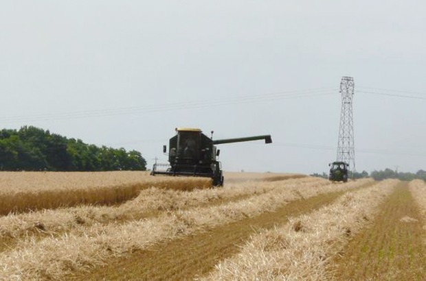 Journée de sensibilisation aux sinistres dans les cultures céréalières à Skikda: Protéger les récoltes des incendies