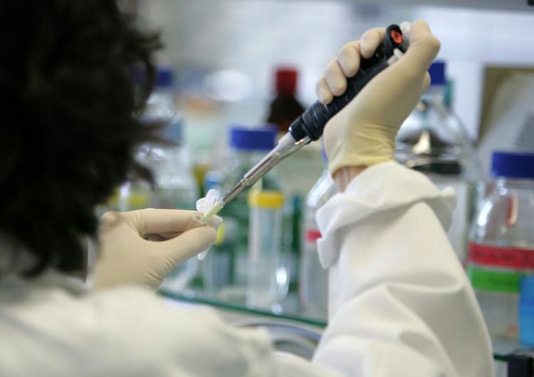 Médicaments bio-similaires L’Algérie dotée d’une réglementation d’ici la fin de l’année