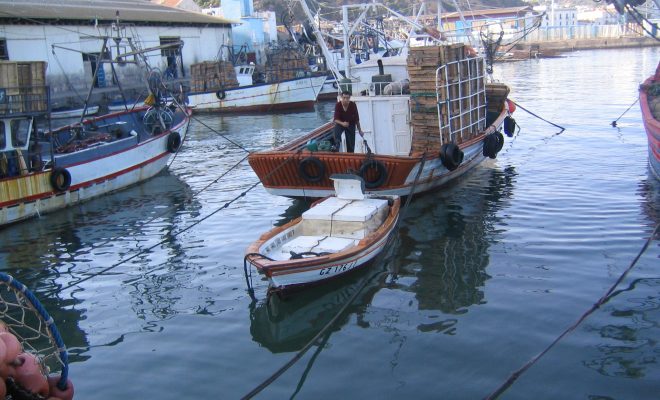Tlemcen: Réception du port de pêche de Ghazouet en fin juillet