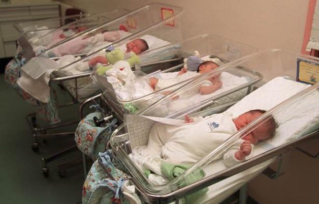 Contribution : Comment aller vers une natalité organisée