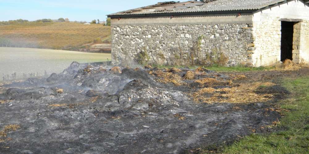 Mostaganem: 200 bottes de paille parties en fumée