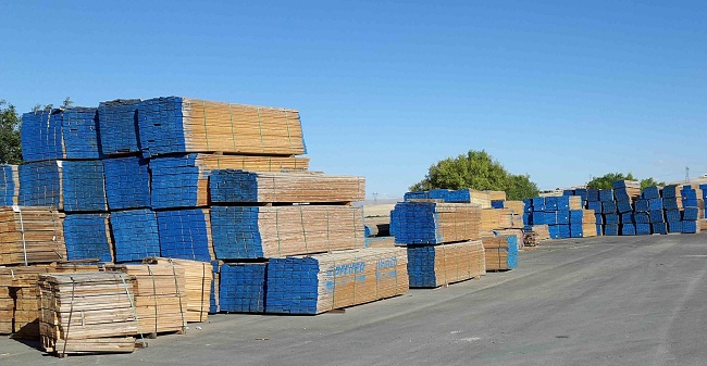 pénurie de bois à Hamma Bouziane :  500 ateliers de menuiserie en alerte