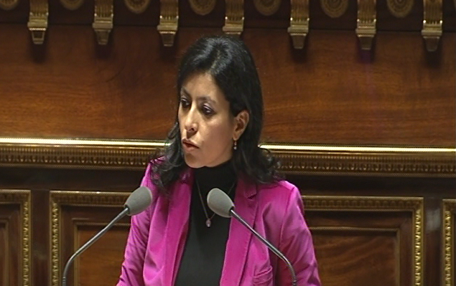 France-Législatives : L&rsquo;investiture de la franco-algérienne Leila Aichi passe mal au Maroc