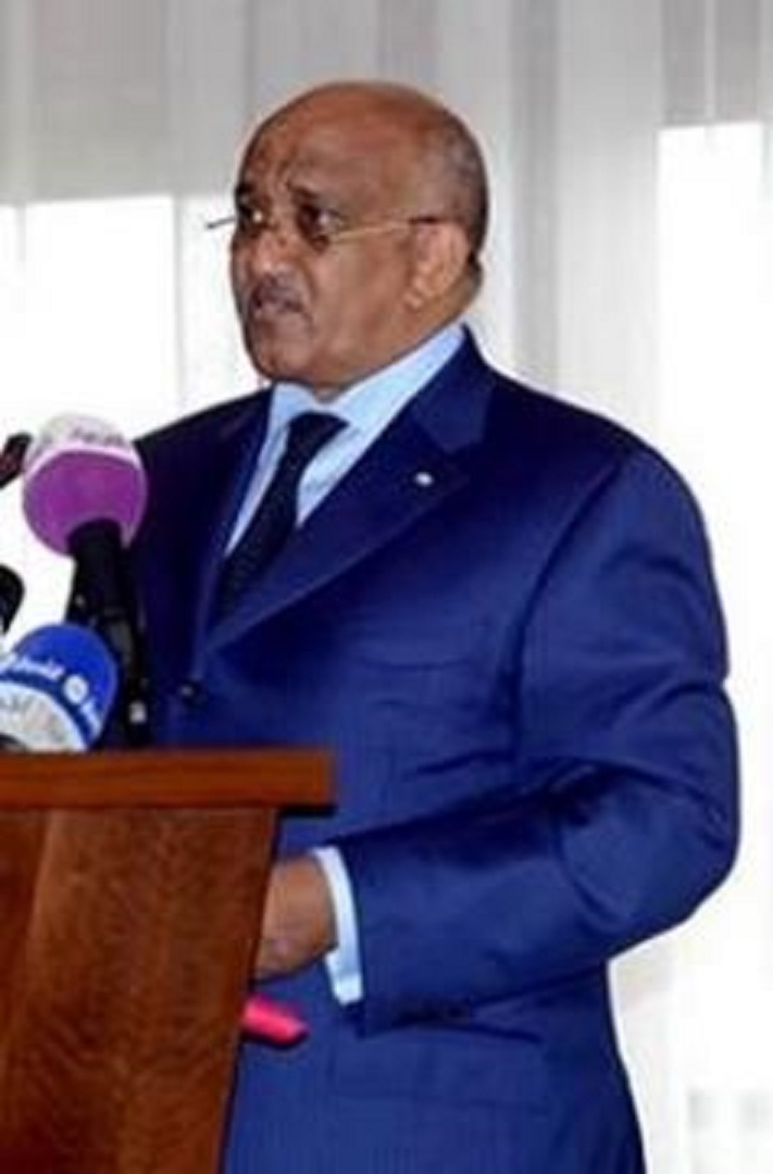 Mission d’observation électorale: L’étonnant rapport des Africains