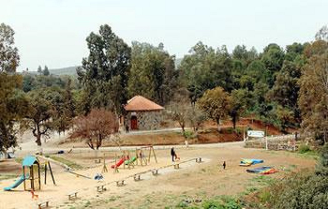 Forêt récréative d&rsquo;Errich: Un patrimoine en danger