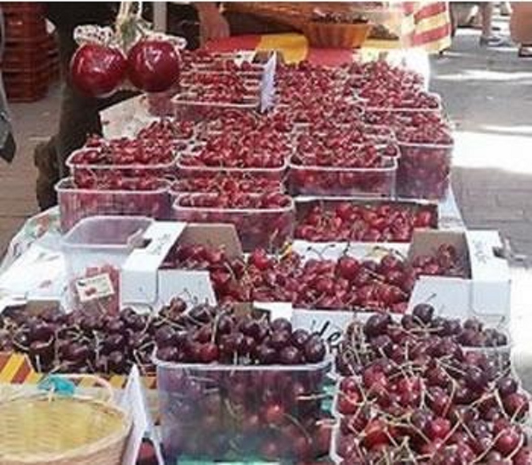 La producion en hausse de 26%: Récolte record de la cerise à Tizi Ouzou