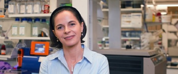 La chercheuse algérienne Yasmine Belkaid élue membre à vie de l&rsquo;académie américaine des sciences