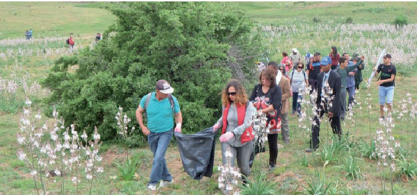 Fête nationale incluant les sports de montagne: L’Akfadou célèbre la nature