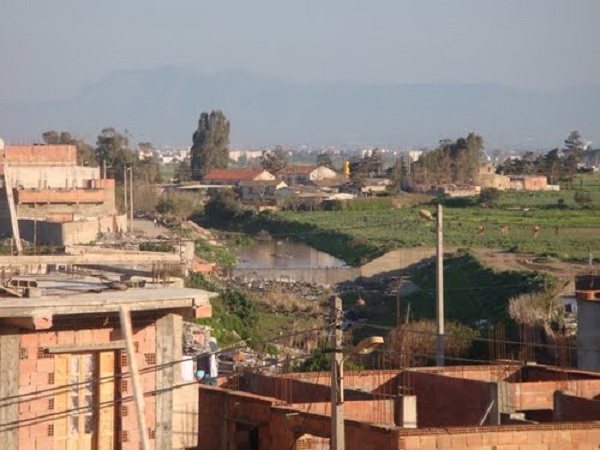 Forêt de Ben Mered : Dégradation et insalubrité