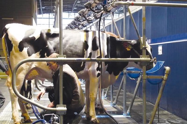 Projet d&rsquo;exploitation de  20 000 hectares à El-Bayadh:  Les Américains s’impliquent