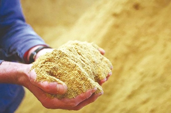 Une usine de production de farine de poisson à Béni-Saf