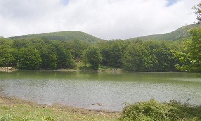 Porté disparu dans la forêt de l’Akfadou, un enfant de 05 ans retrouvé sain et sauf