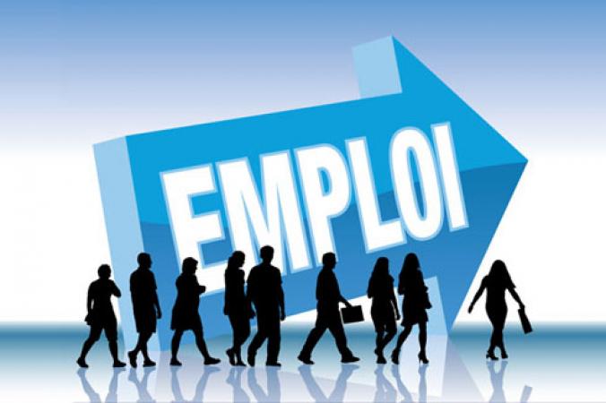 Emploi : Près de 26 000 demandeurs placés en 2018 à Alger