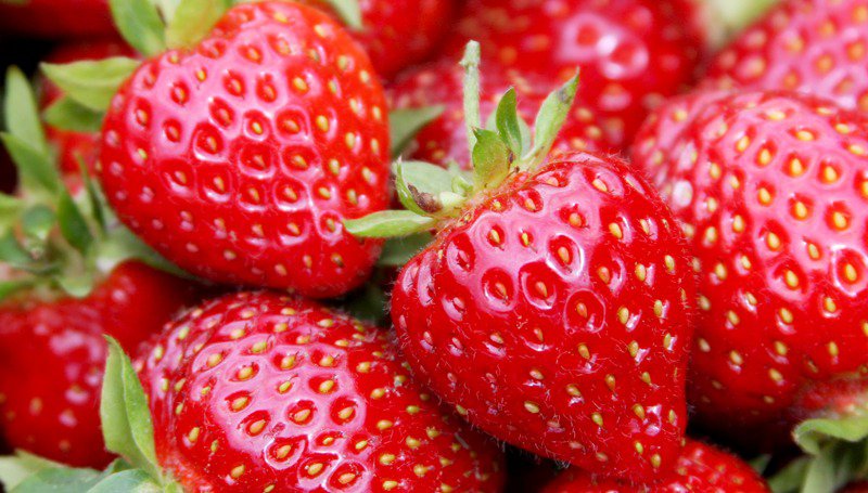 Mangez des fraises, c’est bon pour la peau !