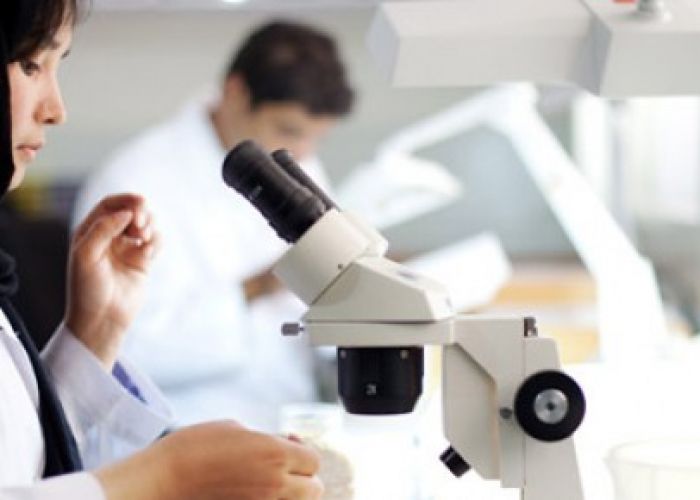 Faute de financement: Le Laboratoire national d’essais ne verra pas le jour de si tôt