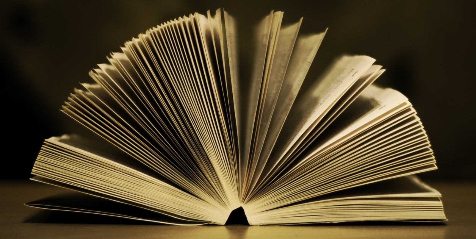 Sawb El Bahr de Boudaoud Ameyar: Une photographie de la réalité algérienne déclinée en recueil de nouvelles