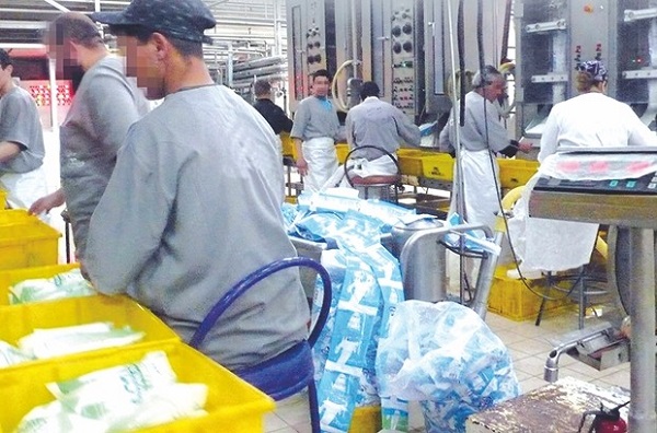 Approvisionnement du centre du pays en lait: L’offre en augmentation