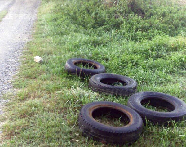 Oran : 22 162 tonnes de pneus usagés jetés annuellement dans la nature