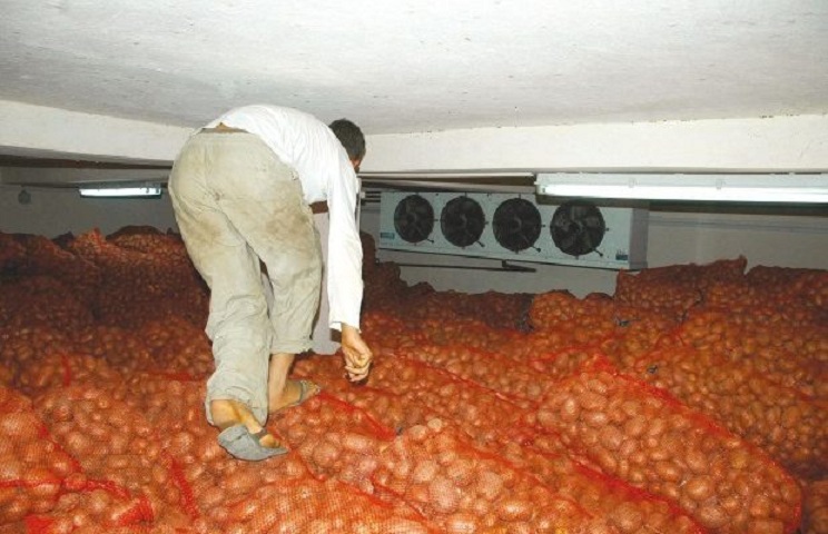 Spéculation: saisie de 234 tonnes de pomme de terre et 15 tonnes de farine à boumerdès