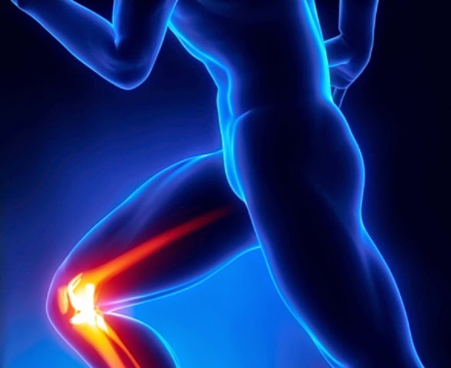 Les plantes des articulations : Pour lutter contre les douleurs