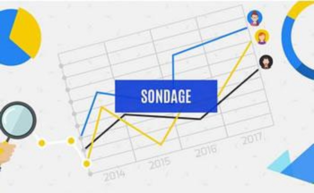 Législatives: Absence d’instituts de sondage et d’études prospectives: L’épice qui manque au scrutin