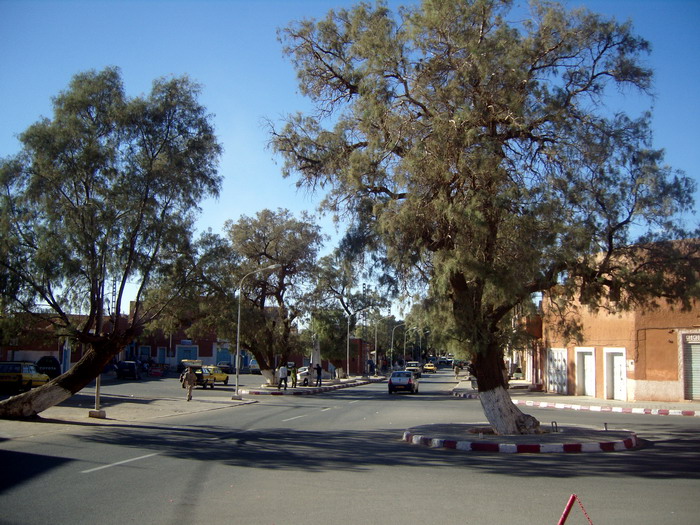Solidarité avec des centaines d’employés  licenciés par l’EPMC ; Le SG de l’UGTA à Tamanrasset en grève de la faim